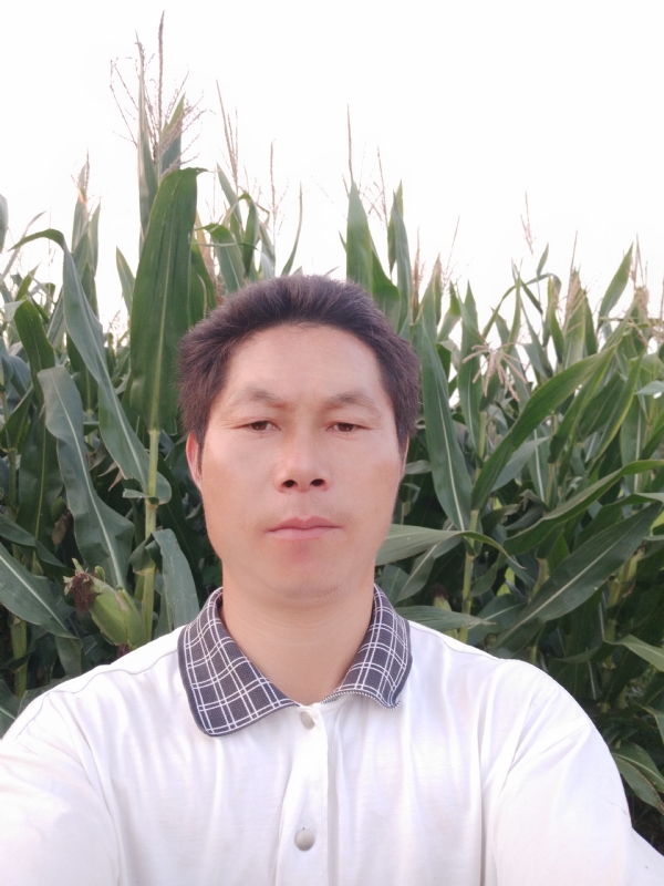 四海游龙的第一张照片--阜阳相亲服务中心