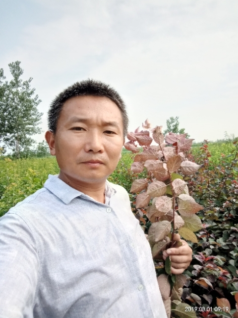 孩子爸的第二张照片--阜阳相亲服务中心