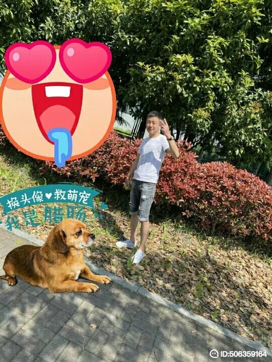 我若不坚强谁替我勇敢的第五张照片--阜阳相亲服务中心